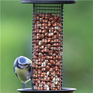 HB Heavy Duty Everyday Peanut Feeder